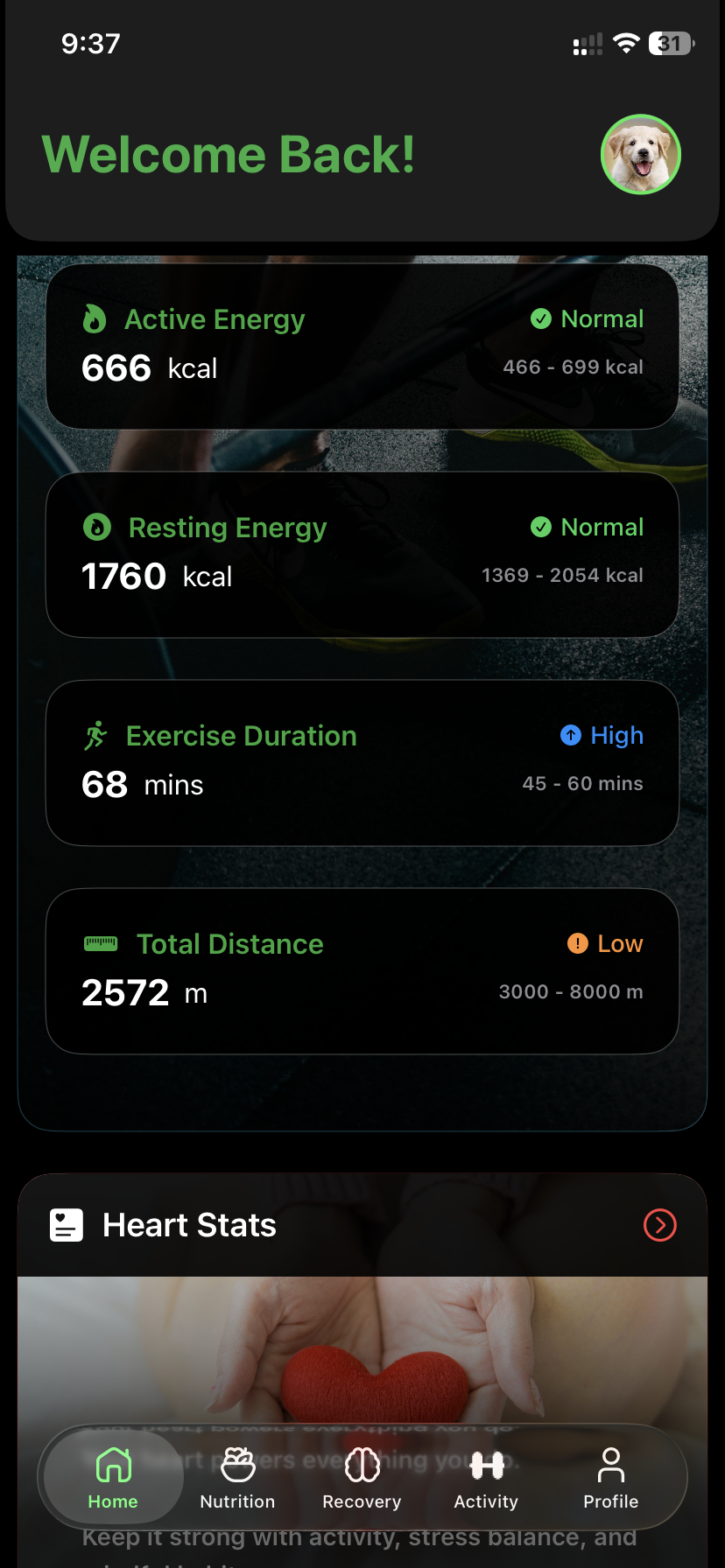 Dashboard — FitSensei